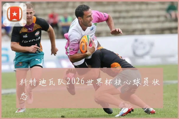 科特迪瓦队2026世界杯核心球员状态