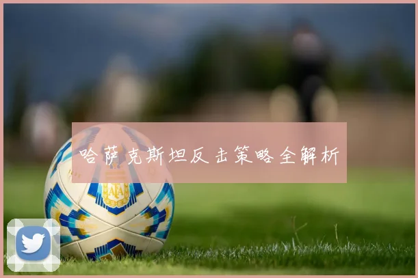 哈萨克斯坦反击策略全解析
