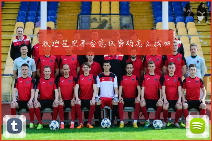 欢迎星空平台忘记密码怎么找回