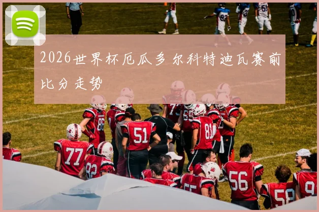 2026世界杯厄瓜多尔科特迪瓦赛前比分走势